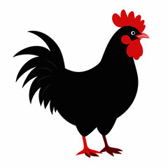 hen and rooster