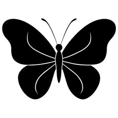 black and white butterfly