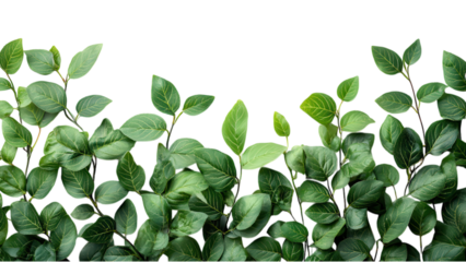 Minimalist banner design, clean white backdrop, modern aesthetic, ideal for professional presentations and digital marketing.