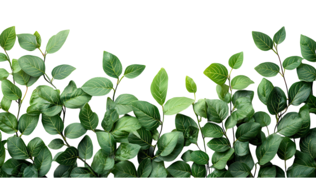 Minimalist banner design, clean white backdrop, modern aesthetic, ideal for professional presentations and digital marketing.