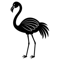 illustration of a flamingo