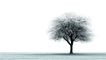Minimalist tree silhouette on a clean white background, emphasizing simplicity and elegance in design.