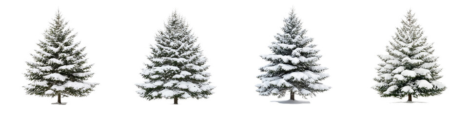 Picturesque winter landscape with snow covered fir trees in a serene forest setting  Tranquil peaceful natural scenery with evergreen conifers in a wintry wonderland