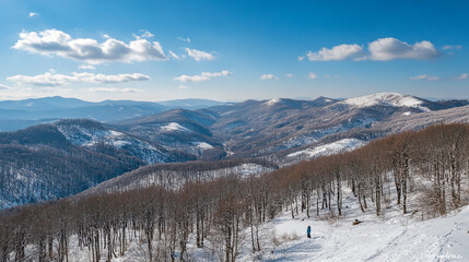 Snow-covered mountains offer stunning views on a clear winter day in the wilderness