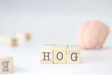 Histogram of Oriented Gradients acronym. HOG abbreviation written on wooden cubes isolated with a...