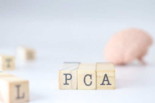 PCA acronym for mental health written on wooden cubes on a white background with copy space for text.
