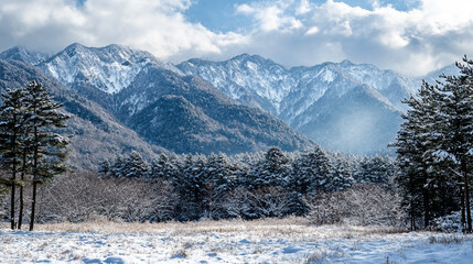 Fototapeta premium Snow-covered mountains under a clear blue sky in winter with evergreen trees in the foreground