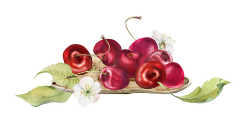 Sweet sour red cherry berries on ceramic plate, hand drawn in watercolor, ripe cerise, leaves, white flowers. Isolated composition illustration. Restaurant, wedding, cafe dessert menu, farmers market