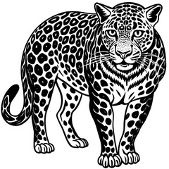 illustration of a leopard
