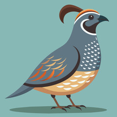 illustration of a bird