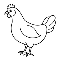 rooster isolated on white background
