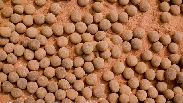 Herbal medicine pills are being dried in the sun after being made.