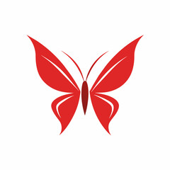 butterfly on a white