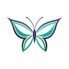 butterfly on a white