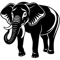 elephant illustration