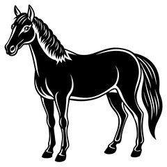 horse illustration