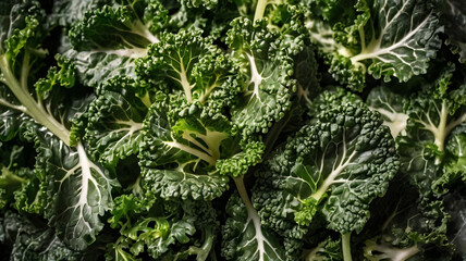Top view of fresh curly kale salad, food background, macro photography