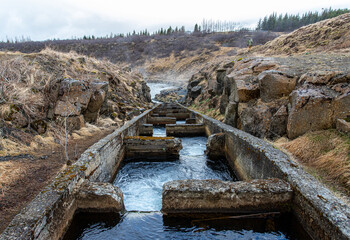 waterway for the fish