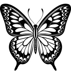 butterfly illustration