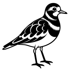 Obraz premium illustration of a bird