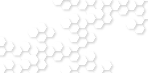 Abstract background with squares. Background with hexagons. Abstract background with lines. white texture background. white and hexagon abstract background. white paper texture and futuristic.