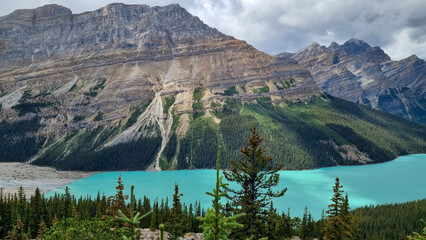 Peyto Lake in Banff National Park, Alberta. Glacier-fed lake with a unique wolf-head shape and vivid turquoise color. In Canadian Rockies, a popular tourist viewpoint along the Icefields Parkway.