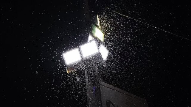A flock of midges in the woods. a lot of Mosquito in front of light. Mosquito vs light, mosquito in night.