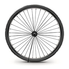 Fototapeta premium Bicycle wheel icon on white background