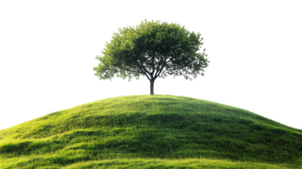 Lone tree standing atop a grassy hill with lush green grass, isolated on transparent background, nature landscape, peaceful scenery, environmental symbol, solitary tree, natural beauty