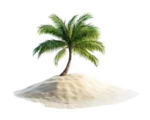Selbstklebende Fototapeten Lone desert island with a single palm tree growing on a sandy dune, tropical beach escape concept, isolated on white background © Vlad