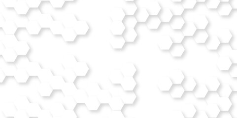 Fototapeta premium Abstract background with squares. Background with hexagons. Abstract background with lines. white texture background. white and hexagon abstract background. white paper texture and futuristic.