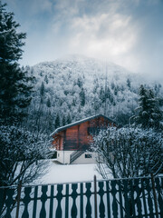 mountain chalet under the snow