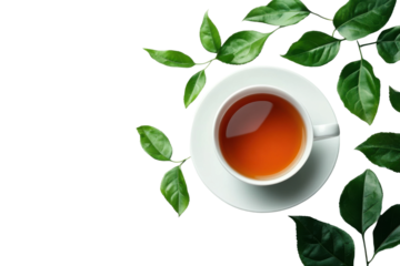 Fresh brewed tea in white ceramic cup with scattered green tea leaves, aromatic and natural hot drink, refreshing beverage isolated on transparent background