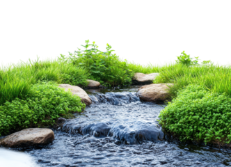 Flowing stream with moss-covered rocks surrounded by lush green grass and vibrant natural scenery for outdoor and nature-inspired designs isolated on transparent background