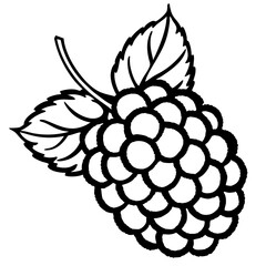 Elegant Wineberry Art in Vector Style