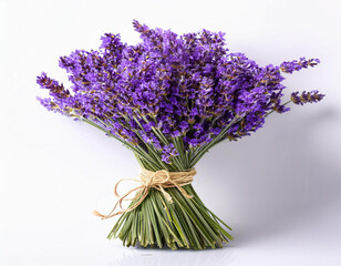 Lavender flowers bundle on a white background