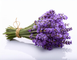 Lavender flowers bundle on a white background