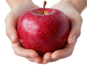 Hands presenting a fresh red apple with water droplets, symbol of healthy eating, nutrition, and organic fruit, isolated on transparent background