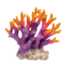 Vibrant Coral Branch in Colorful Purple and Orange