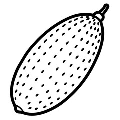 Finger Lime Vibrant Vector Art