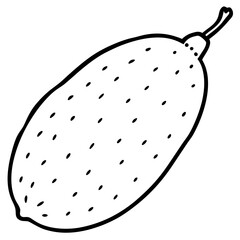 Finger Lime Vibrant Vector Art