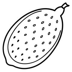 Finger Lime Vibrant Vector Art