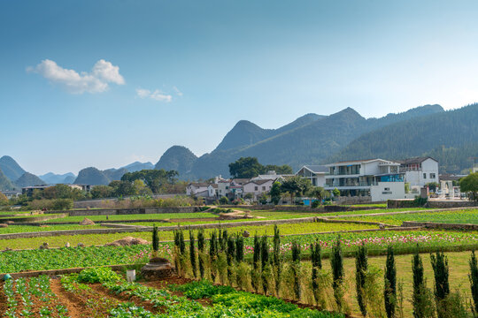 Wanfenglin (Forest of Ten Thousand Peaks), Guizhou, China