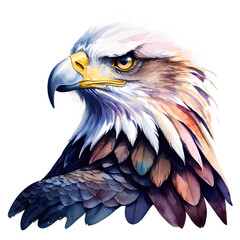 Obraz premium Artistic Watercolor Illustration of a Soaring Eagle with Bright Colors on Transparent Background