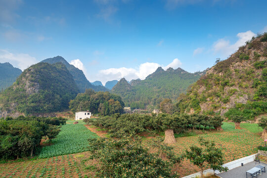 Wanfenglin (Forest of Ten Thousand Peaks), Guizhou, China