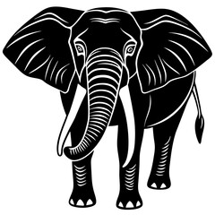 elephant isolated on white