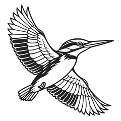 Obraz premium bird in flight