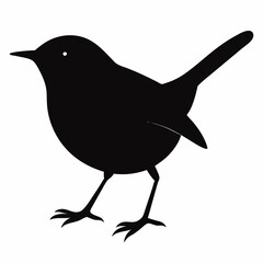 bird on a branch