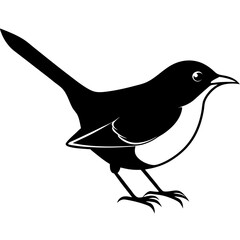 illustration of a bird