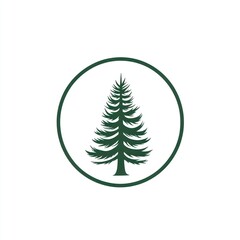 Obraz premium Green Evergreen Tree in a Circular Frame